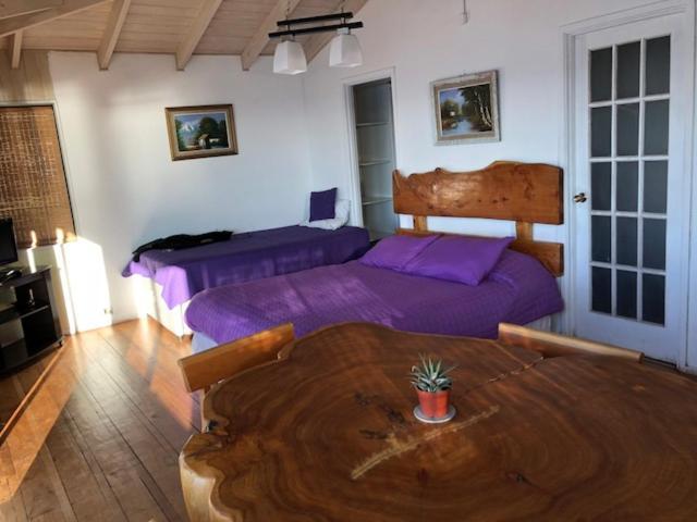 Pinguino En La Roca - Lodge Виня дел Мар Екстериор снимка